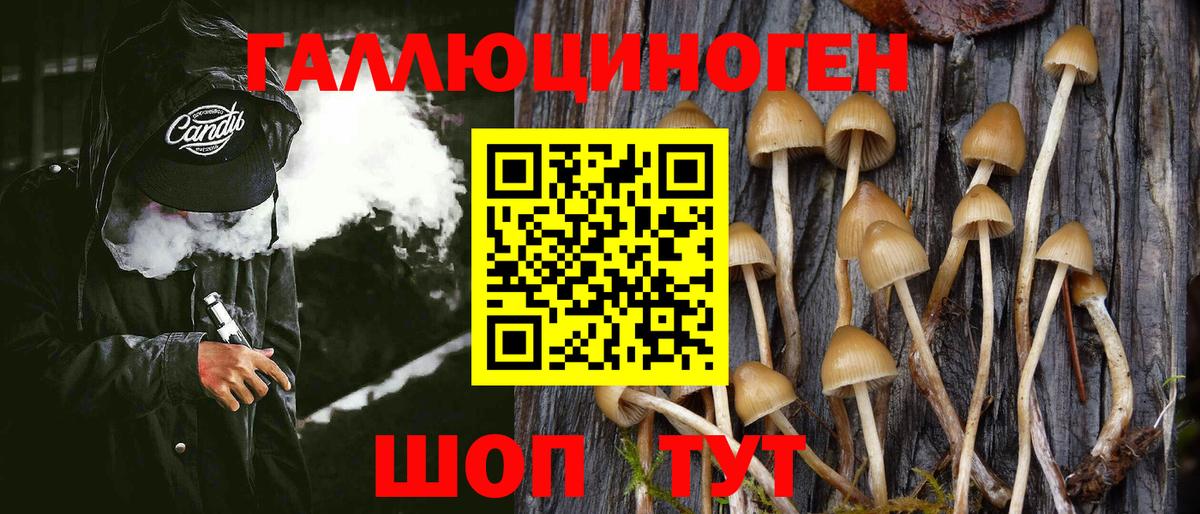 цена наркотик  Псилоцибиновые грибы Psilocybine cubensis  Вход с VPN  Ульяновск 
