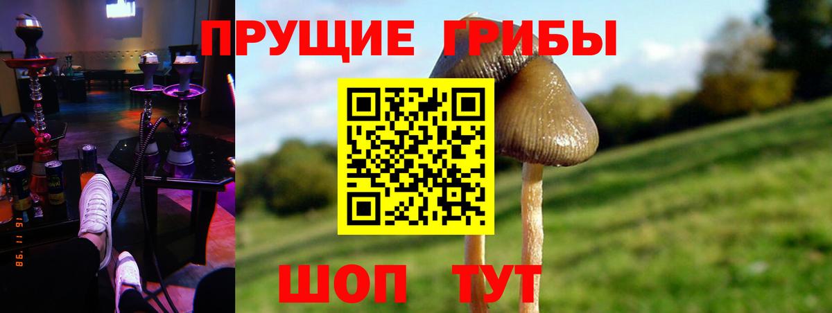 Галлюциногенные грибы Cubensis Ульяновск